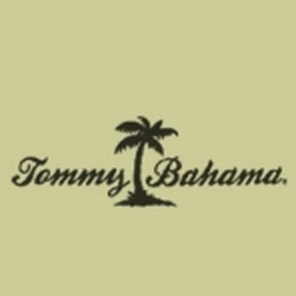 Tommy Bahama Sage Green 100% Silk Shirt Men's Sz XXL - Picture 2 of 6